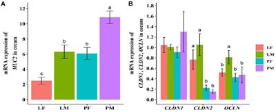 Effects of Rearing Conditions and Sex on Cecal Microbiota in Ducks